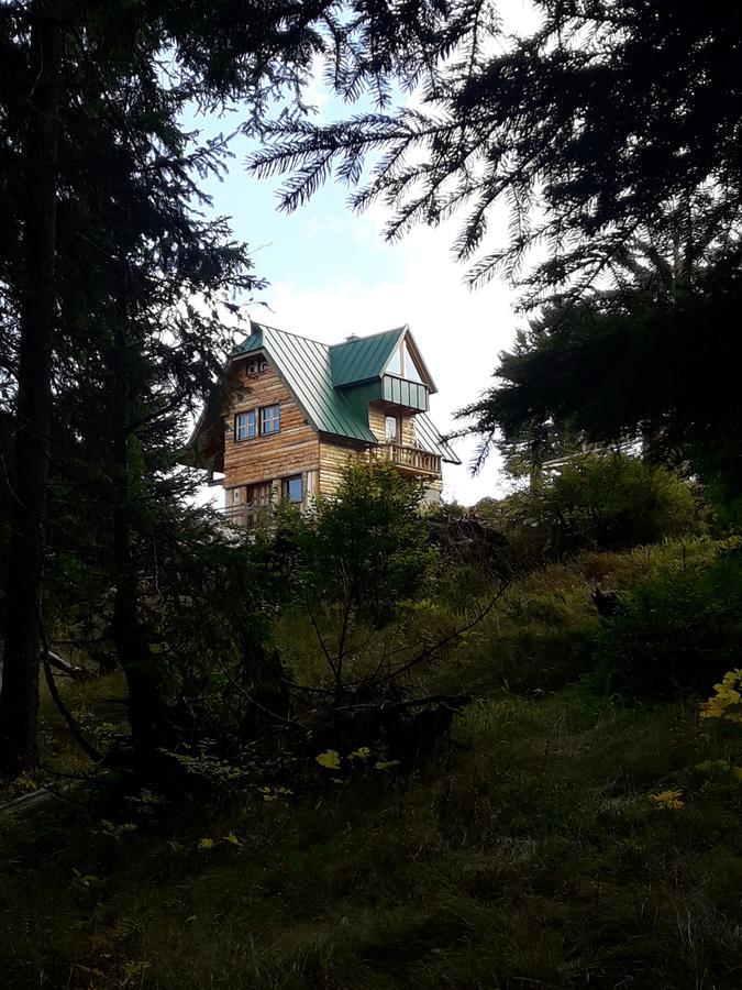 Mountain Story Apartment Žabljak Exteriör bild