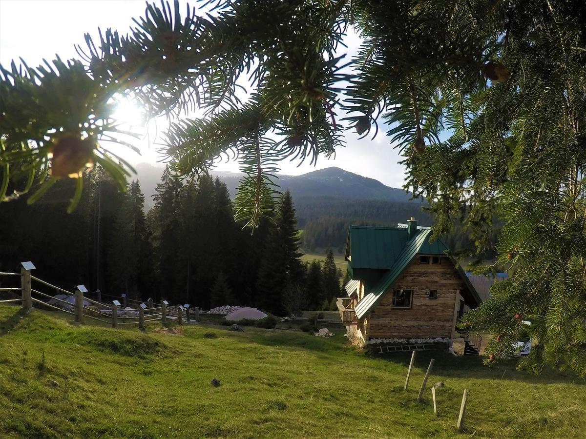 Mountain Story Apartment Žabljak Exteriör bild